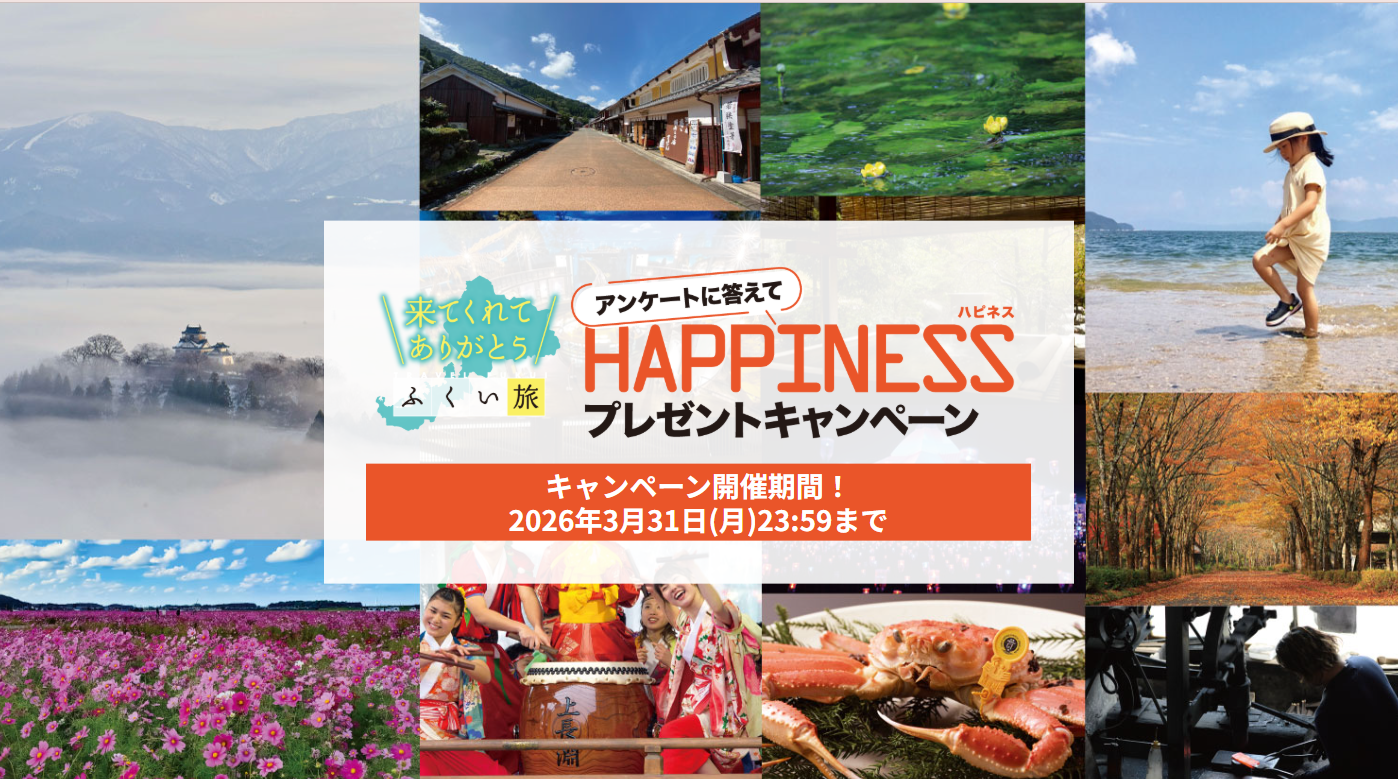 スクリーンショット (133)