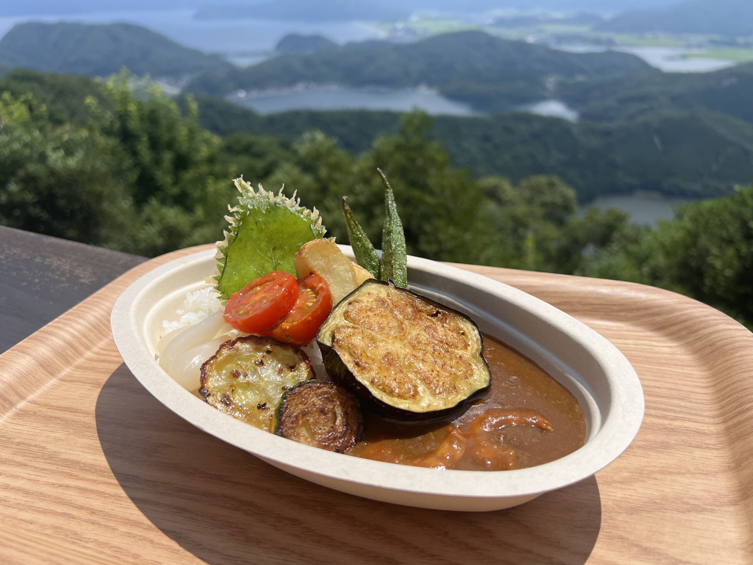 夏野菜カレー