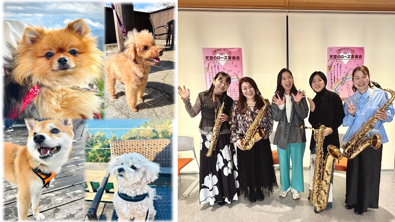 HP用　犬の日＆音楽会